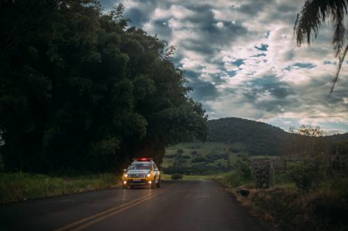 Vista de coche de policia en carretera de bosque